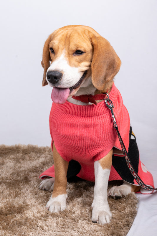 Petsnugs Bone and Paws Sweater for Dogs