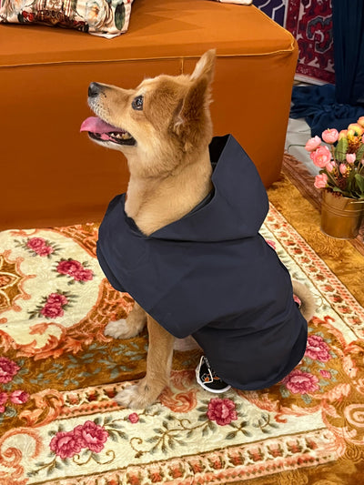 Raincoats