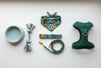 Dogs Accessories