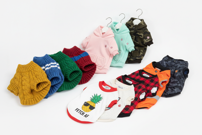 Dogs Apparels