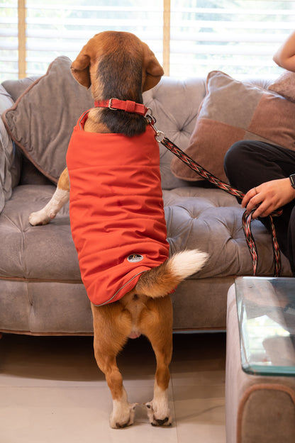 Petsnugs Rust Jacket for Dogs