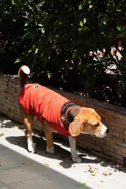 Petsnugs Rust Jacket for Dogs