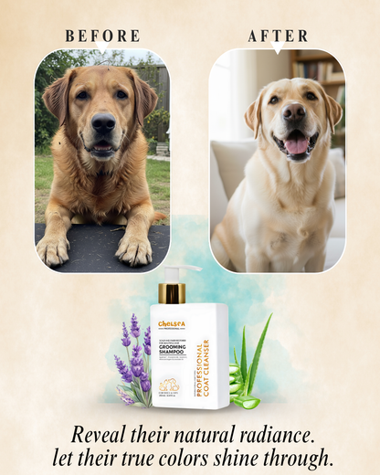 Chelsea Professional Grooming Shampoo - 250 mL