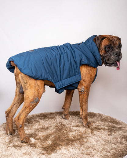 Petsnugs Blue Jacket for Dogs