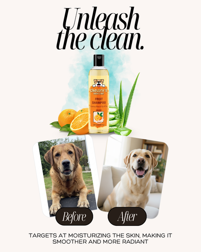 Dog Orange Shampoo - 200 ml