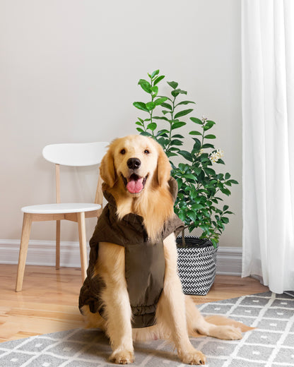 Petsugs Olive Green Jacket for Dogs