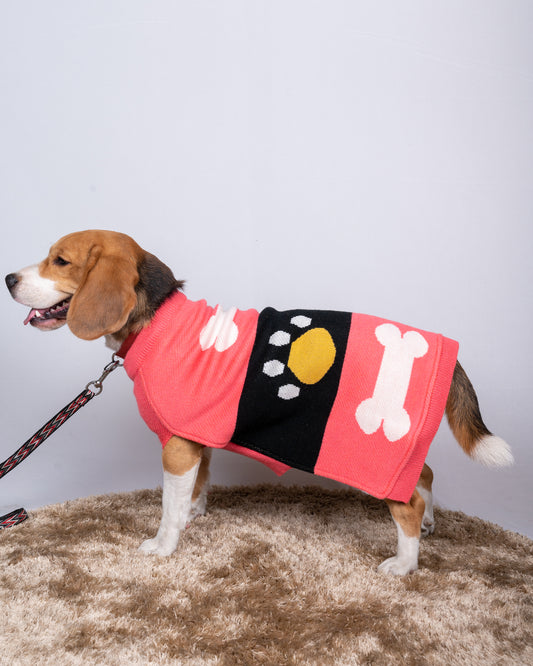Petsnugs Bone and Paws Sweater for Dogs