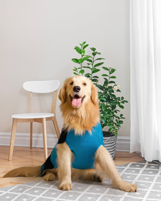 Petsnugs Half Cable Half Jacquard Sweater for Dogs