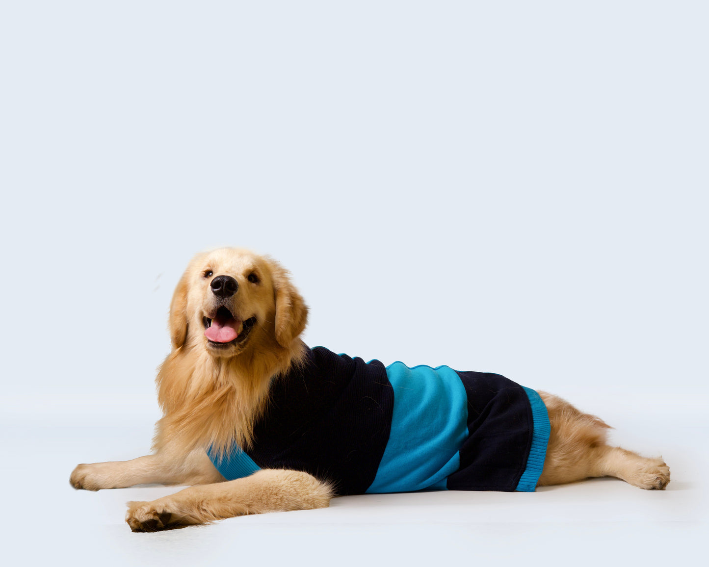 Petsnugs Half Cable Half Jacquard Sweater for Dogs
