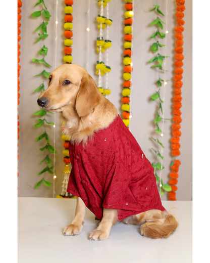 Red Dog Sherwani