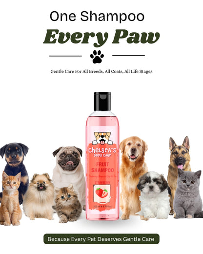 Dog Strawberry Shampoo - 200 ml