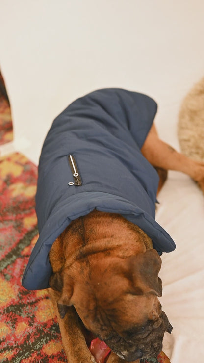 Petsnugs Blue Jacket for Dogs