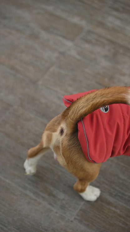 Petsnugs Rust Jacket for Dogs