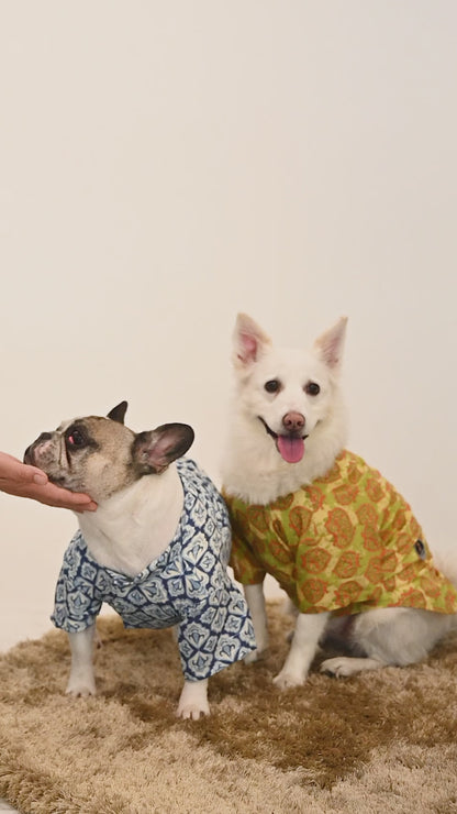 Traditional Blue Printed Kurta for Dogs