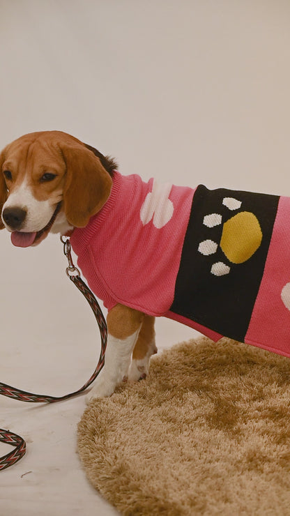 Petsnugs Bone and Paws Sweater for Dogs