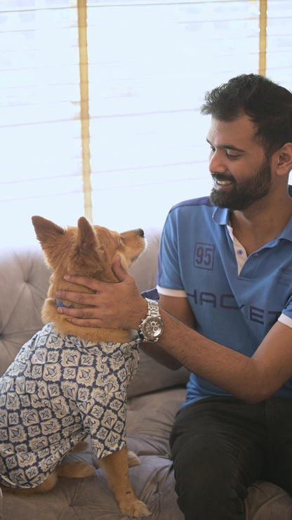 Traditional Blue Printed Kurta for Dogs