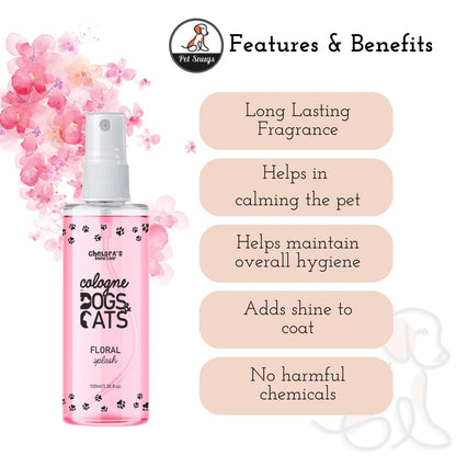 Floral Splash Perfume - Pack of 2